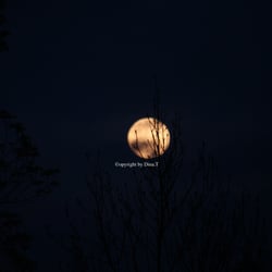 Moon Mai 2014- Foto Übungen..