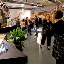 Ausstellungsdesign-apriori-design
