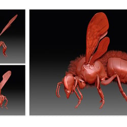 Zbrush modelling