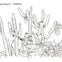 Studie – Botanischer Garten