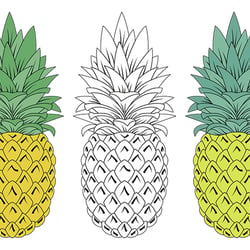 Vektorgrafik – Ananas