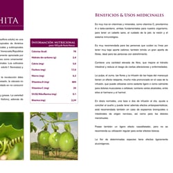 Infoseiten Passionsfrucht – Rezeptbuch (Venezuela)