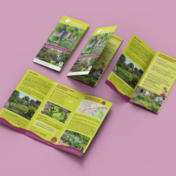 Flyerdesign