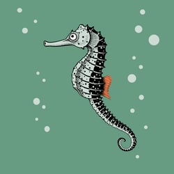 Seepferdchen