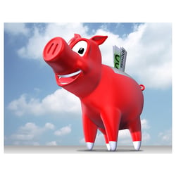 Pig