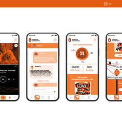 Penguin Experience (App)