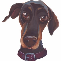Dobermann