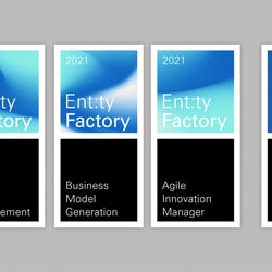 Entity Factory – Zertifikate