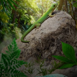 Unsere Natur im Fokus