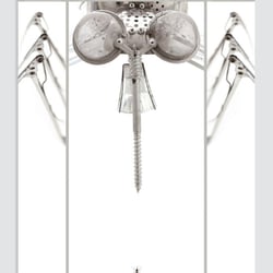 Gestaltung des Planfisch-Kalenders 2014