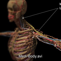 3D Visualisierung Akku Schrauber