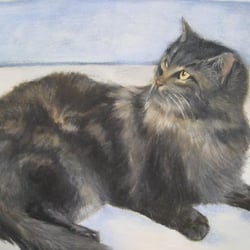 kitkat