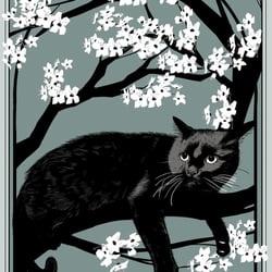 Various Manifestations of a Black Cat IV