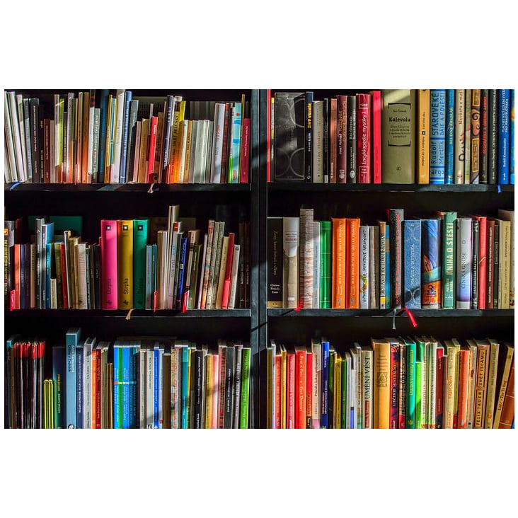 https://pediapress.com/books/show/d25431fa589a3a4866c82265a61d/