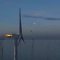 Offshore
