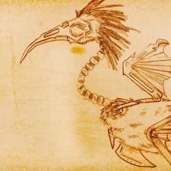 Steam Bird