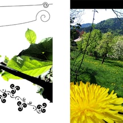 Illustration/Buch