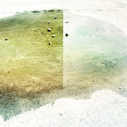 20110505 Portfolio 034