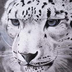 Schneeleopard