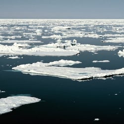 25-antarctica