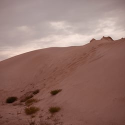 KALTBLUT.
