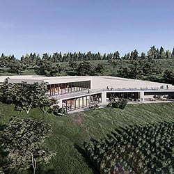 Entwurfsprojekt „Cantina Eucaliptus. Weingut in der Toskana.“