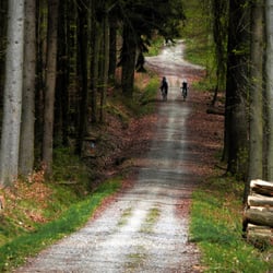 Schurwald Nähe Jägerhaus