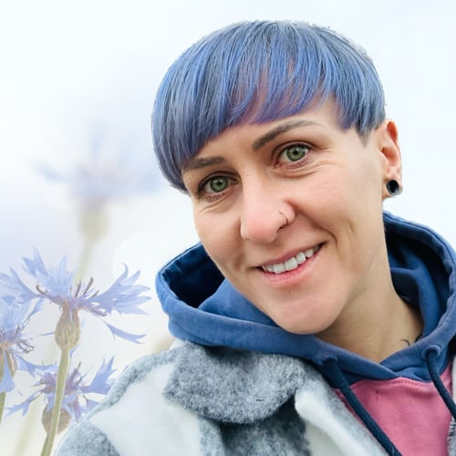 Cornflower Content