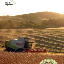 A3 Plakat allgemein