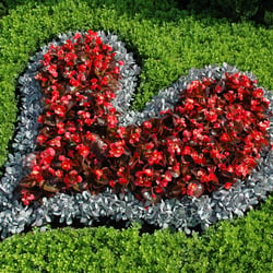 Bundesgartenschau München