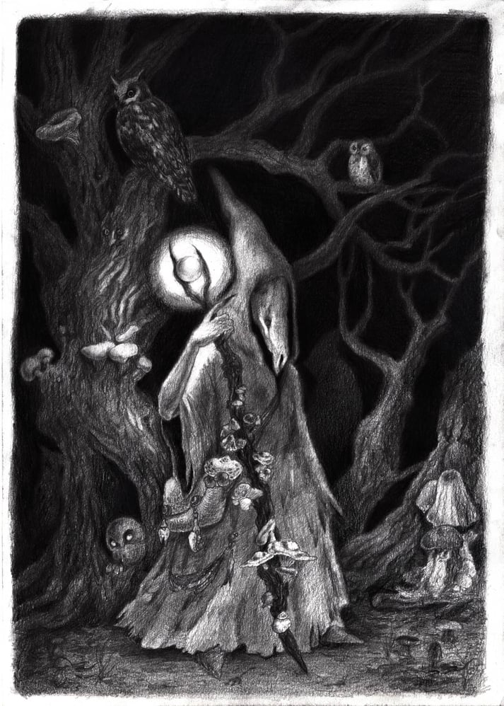 Master of Mushrooms, 2018