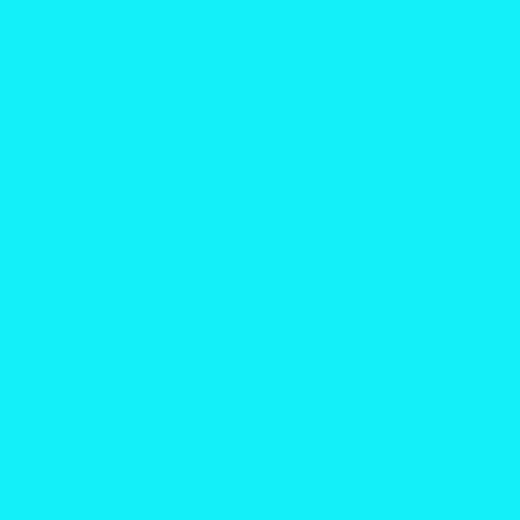 Jann Liebert
