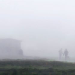 Begegnung im Nebel 2