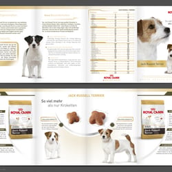 Produktleaflet Jack Russell Terrier