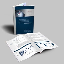 Infobroschüre der Unternehmensberatung Roll & Pastuch