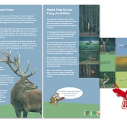 Tafeln zum Thema „Rothirsch“ für einen Naturlehrpfad bei Lauenburg. Entwurf und Druckvorstufe. Außerdem Logoentwicklung.