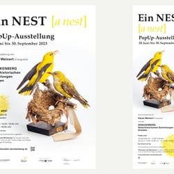 Plakate