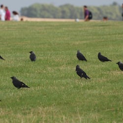 life at stonehenge