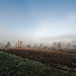 Winter (3)