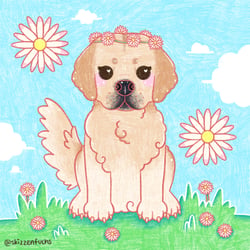 Haustierportrait – Meilo