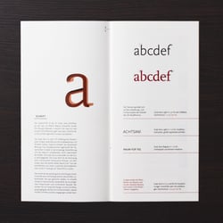 Corporate Manual