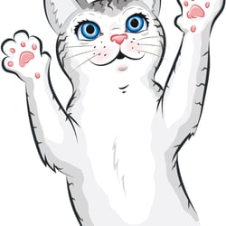 Katzennahrung