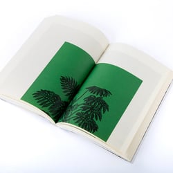 Leafy House Plants Von Benjamin Wurster