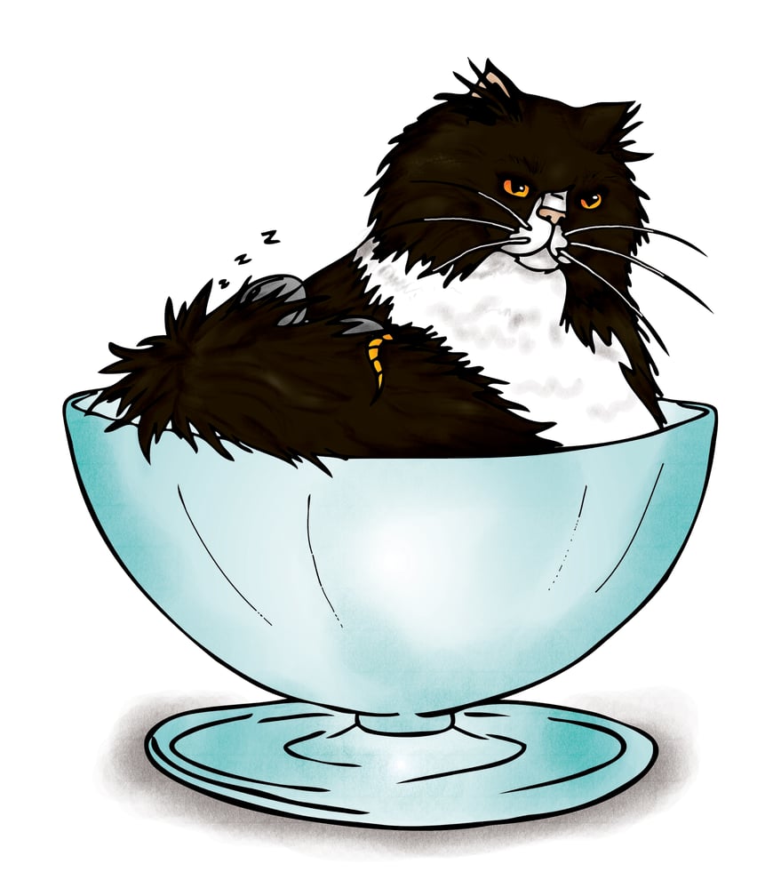 Katzen