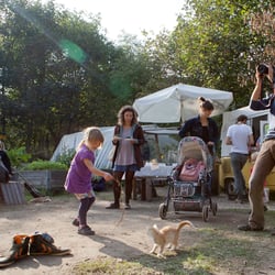 Reportage
