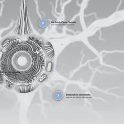 UI/UX der 3D-Website