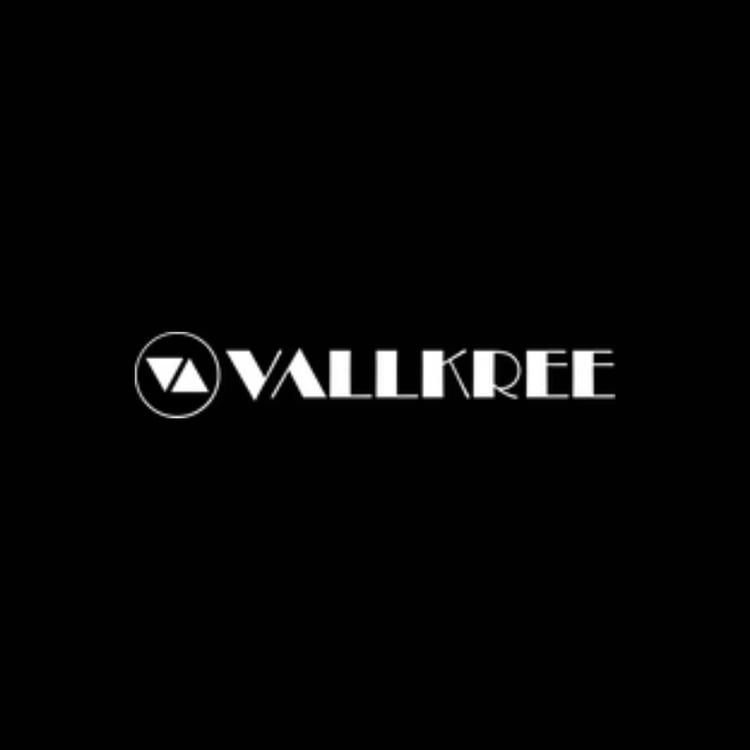 Vallkree Electric Bikes