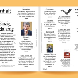 Greenpeace Magazin 02