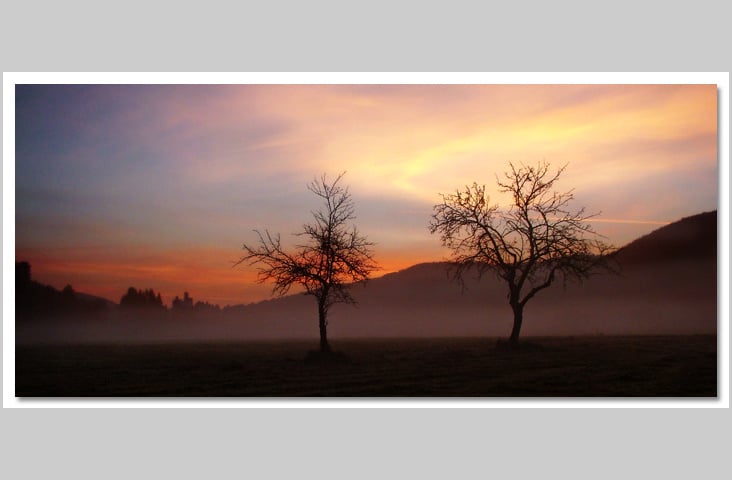 Fotografie-Natur