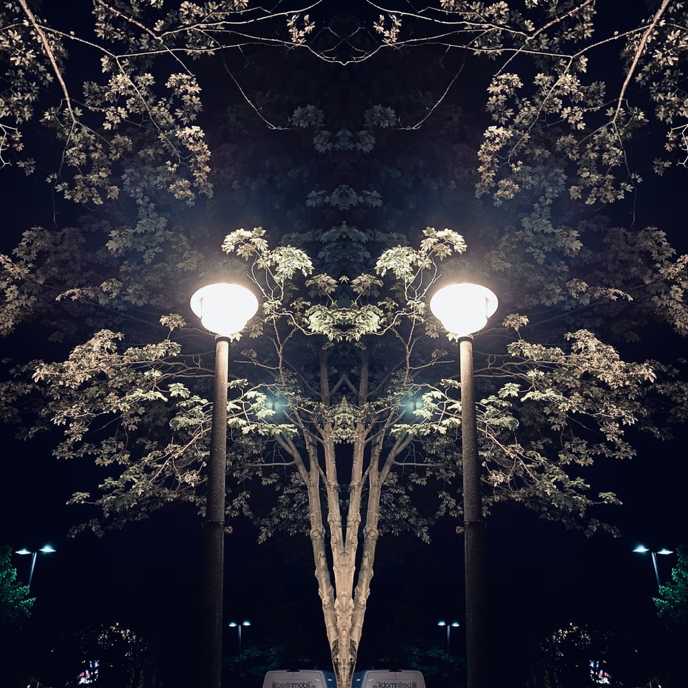 Spiegelbild